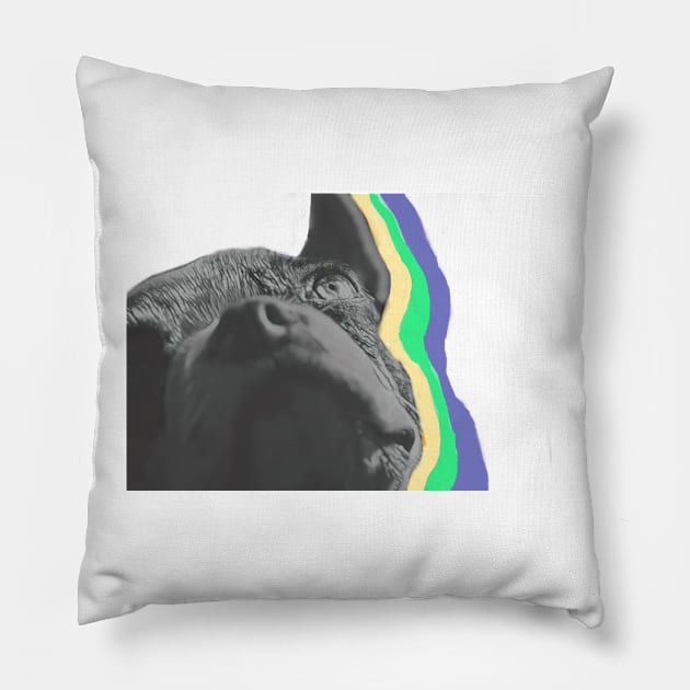 Echo Boston Terrier Pillow by GdotArroyo