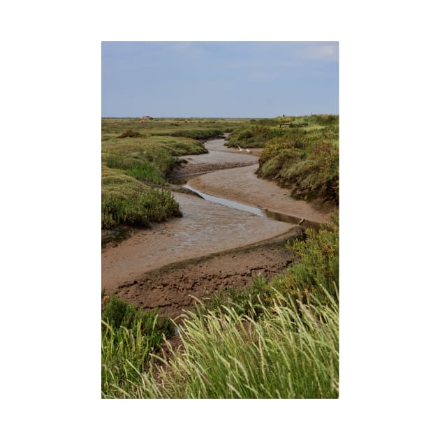 Blakeney mudflats and saltmarsh by avrilharris