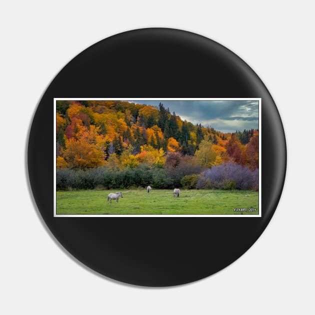 Horses Enjoying an Autumn Day Pin by kenmo