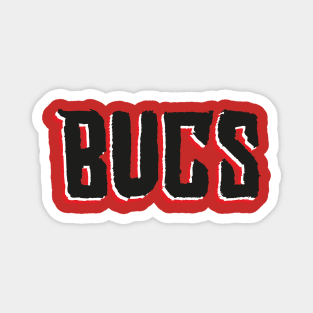 Tampa Bay Bucanneeers 17 Magnet