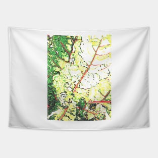 Chard Map Tapestry