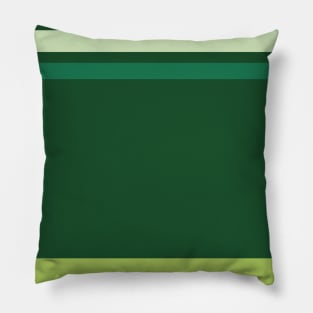 A fascinating customization of Dark Sea Green, Medium Aquamarine, Very Light Green, Pine and Light Olive stripes. Pillow