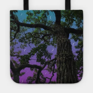 Moon Valley Tote