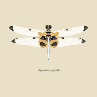 Dragonfly - Rhyothemis Phyllis T-Shirt