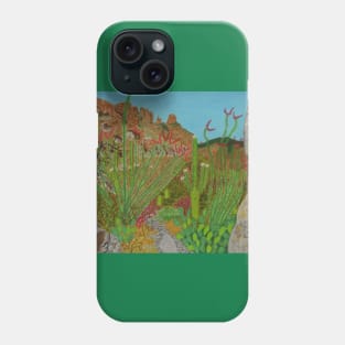 Pima Canyon in Tucson, Arizona, USA Phone Case