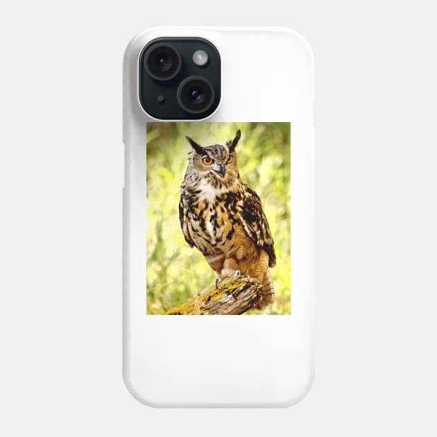 Eurasian Eagle Owl Phone Case by Scubagirlamy