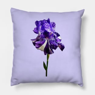 Purple and White Striped Iris Pillow