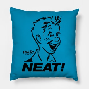 NEAT! Pillow