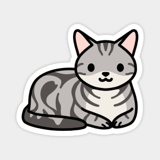 American Shorthair Cat Magnet