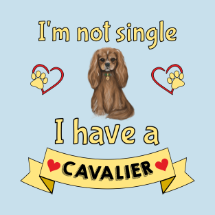 I'm not single I have a Ruby Cavalier King Charles Spaniel (Dog) T-Shirt