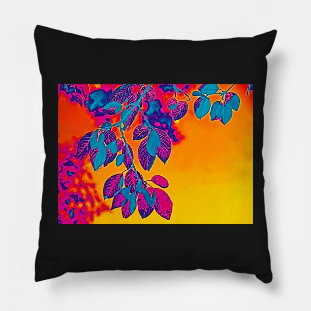 Sunglow Pillow by EileenMcVey