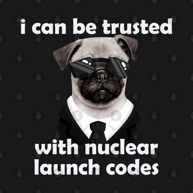 I Can-Be Trusted With Nuclear Launch Codes Funny Dog Meme by badCasperTess