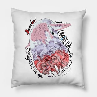 Dumbo Octopus, Grimpoteuthis sp. Pillow