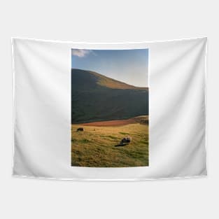 Sheep Grazing on the Mountain Tapestry