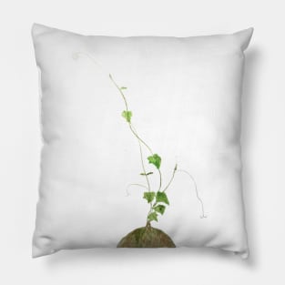 zen green climbing  leaf Pillow