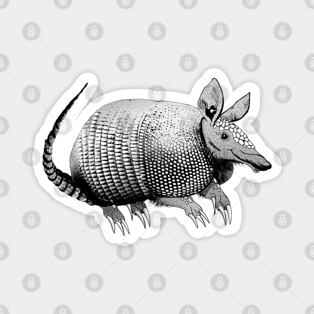 Cute Armadillo Magnet by Dual Rogue