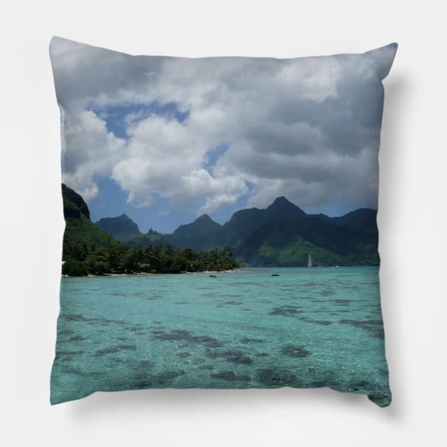 Wanna go for a swim?! Pillow by HFGJewels