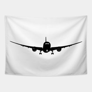 Passenger aircraft Tapestry