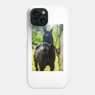 the handsome horse Phone Case