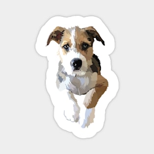 Terrier beagle cute dog Magnet