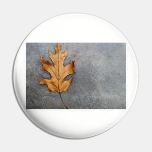 An Oak leaf Pin