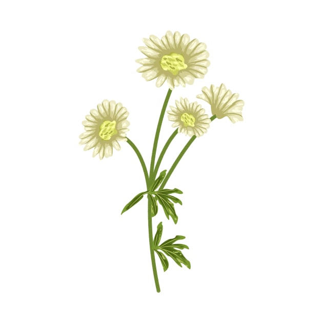 Daisy Plant Botanical by Salfiart