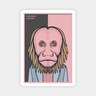 Bald Uakari Monkey Magnet