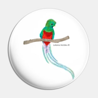 Quetzal Bird Pin