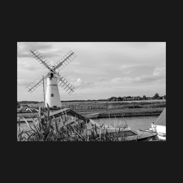 Thurne Mill on the River Thurne in the Norfolk Broads National Park by yackers1