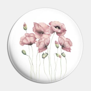 Blush pink poppies illustration Pin