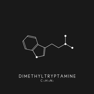 Dimethyltryptamine / DMT Molecular Structure in Black T-Shirt