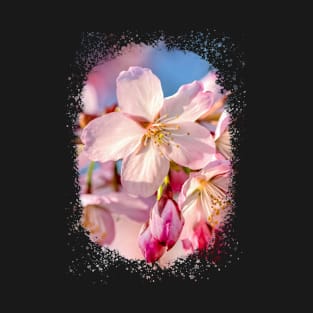 Fascinating Bunch Of Sakura Flowers And Buds T-Shirt
