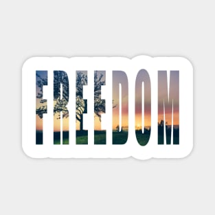 Freedom 2 Magnet