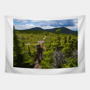 Appalachian Trail Painting Tapestry