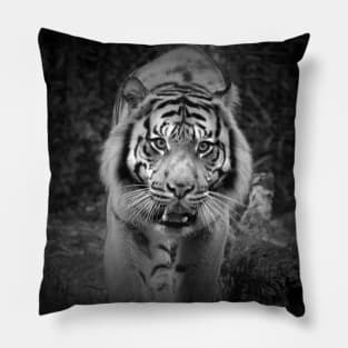 On The Prowl Pillow