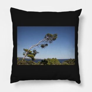 Windswept. Pillow