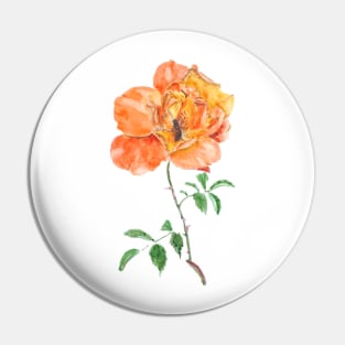 orange rose and a busy bee Pin