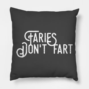 Fairies don't fart Pillow