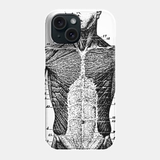 Musculature of the male human Phone Case