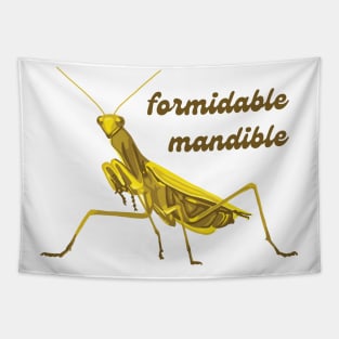 Praying Mantis Has A Formidable Mandible Tapestry