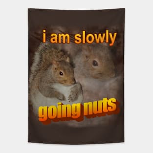 Squirrel Meme Tapestry