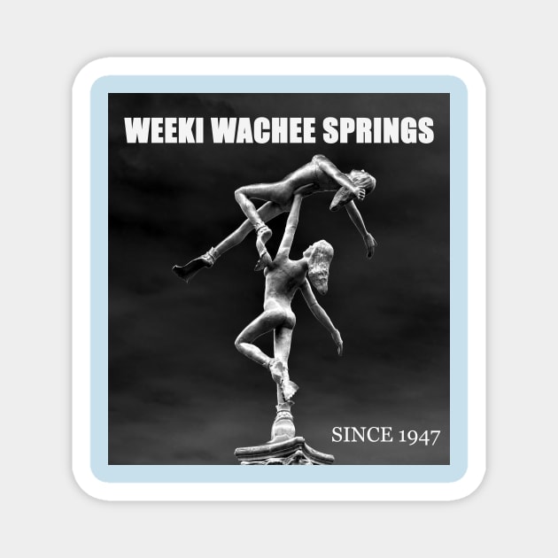 Weeki Wachee Springs Florida Magnet by dltphoto