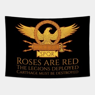 Acient Rome Punic Wars Carthage Must Be Destroyed Valentines Tapestry