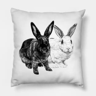 Benny und Mindy Pillow