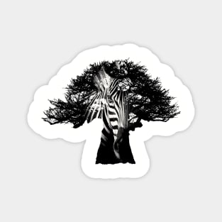 Baobab in Silhouette with Zebra Face Overlay Magnet