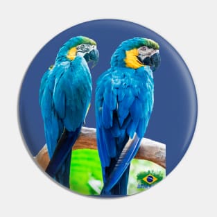 Two macaws Pin