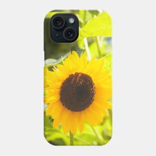 Yellow sunflower floral Phone Case