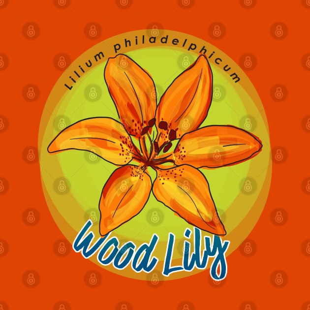 Wood Lily by unclelindsey