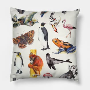 Biodiversity Poster Pillow