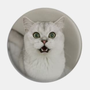 Green eyes cute cats Pin